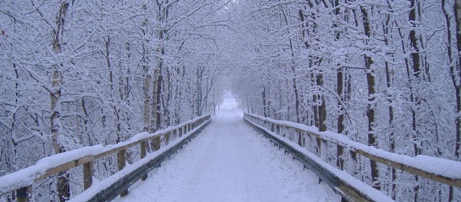 Seasonal Affective Disorder Seasonal Affective Disorder