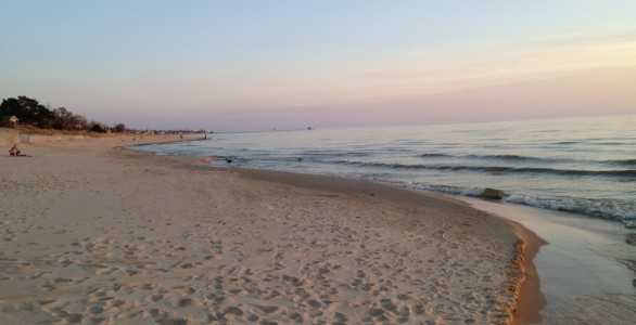 Sea Shore